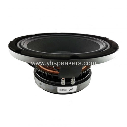 Hot Selling 10" Professional Audio Video Speaker